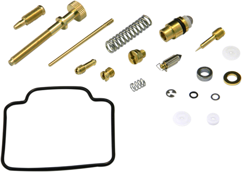 Carburetor Repair Kit 10031109