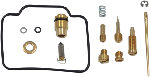 Carburetor Repair Kit 10031116