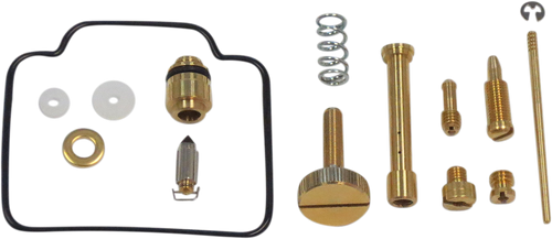 Carburetor Repair Kit 10031119