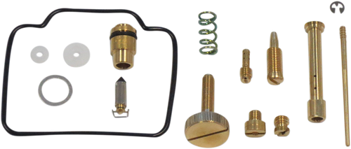 Carburetor Repair Kit 10031120