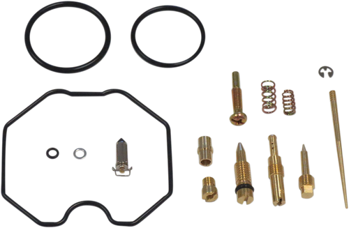 Carburetor Repair Kit 10031123