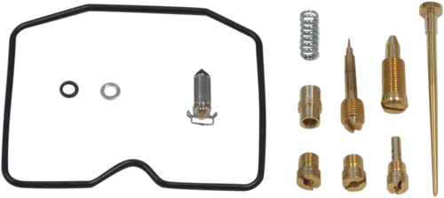 Carburetor Repair Kit 10031124
