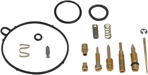 Carburetor Repair Kit 10031160