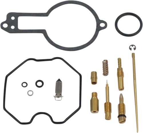 Carburetor Repair Kit 10031171
