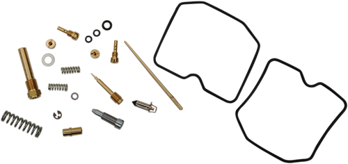 Carburetor Repair Kit 10031189