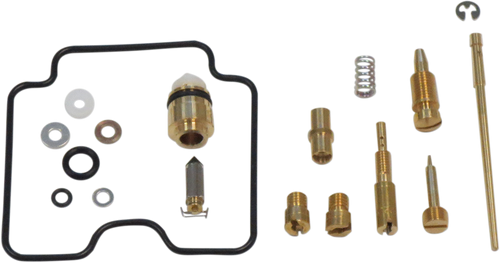 Carburetor Repair Kit 10031210