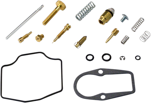 Carburetor Repair Kit 10031231