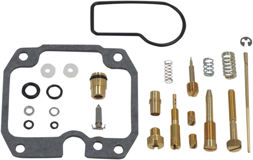 Carburetor Repair Kit 10031245
