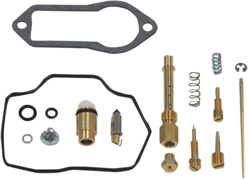 Carburetor Repair Kit 10031248