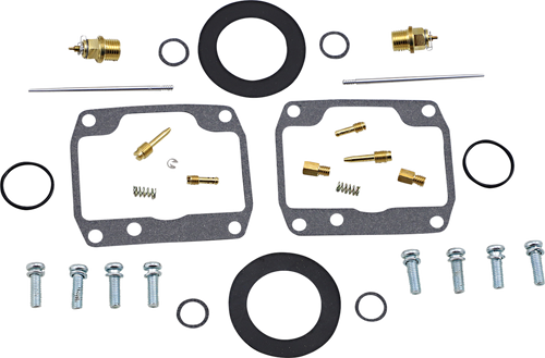 Carburetor Repair Kit 10031853