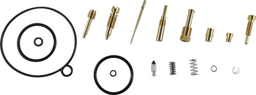 Carburetor Repair Kit 10031999