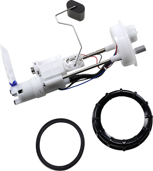 Replacement Fuel Pump Module Kit 10090109