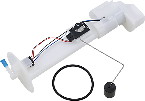 Replacement Fuel Pump Module Kit 10090119