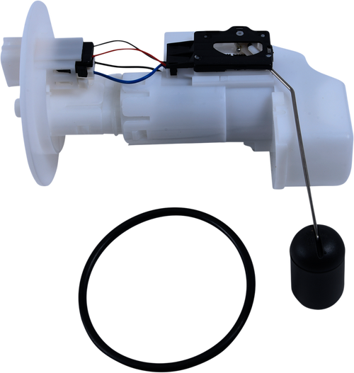 Replacement Fuel Pump Module Kit 10090126