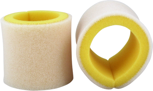 Foam Air Filter 10110081