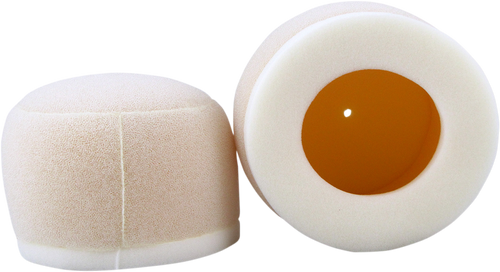 Foam Air Filter 10110150