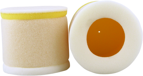Foam Air Filter 10110152