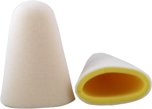 Foam Air Filter 10110162