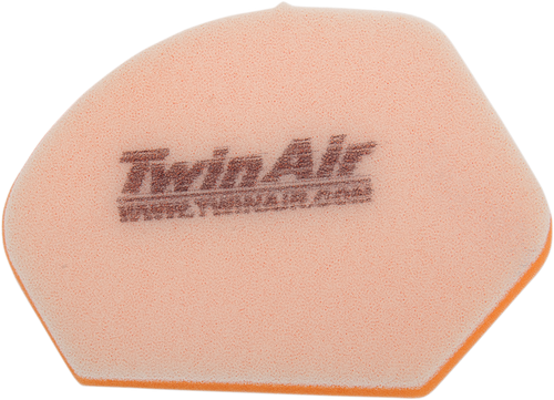 Standard Air Filter 10110420