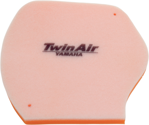 Standard Air Filter 10111081