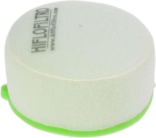 Foam Air Filter 10111698