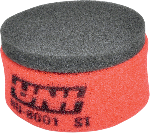 Air Filter 10112498