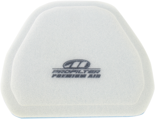 Premium Air Filter 10112705