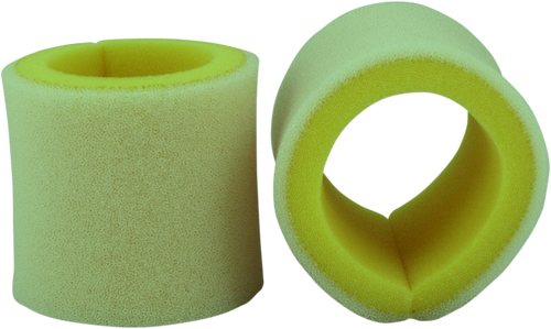 Pre-Oiled Air Filter 10112859