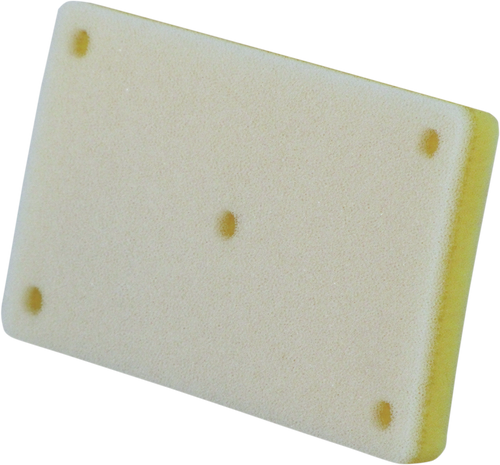 Foam Air Filter 10113072