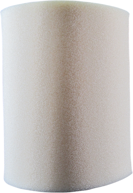 Foam Air Filter 10113193