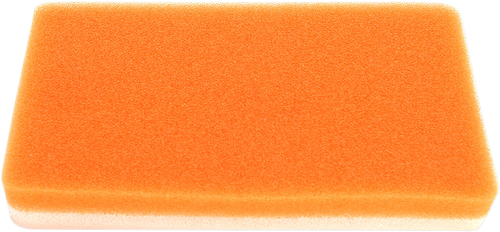 Standard Air Filter 10113651