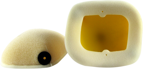 Foam Air Filter 10114176
