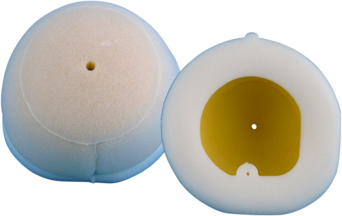 Foam Air Filter 10114251