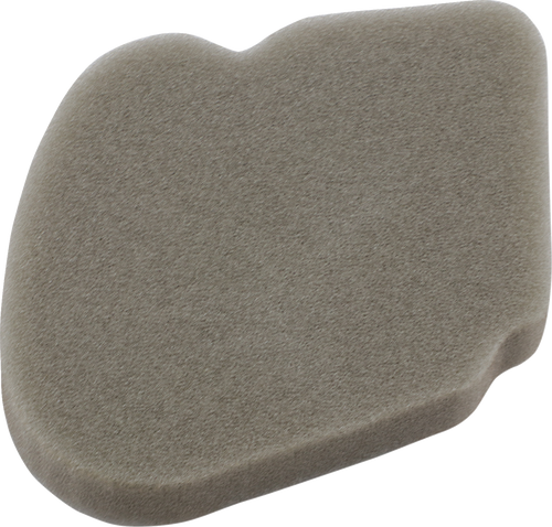 Foam Air Filter 10114299
