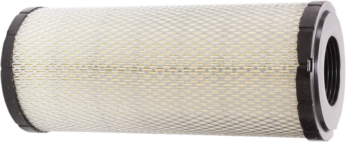 Replacement Air Filter 10114948