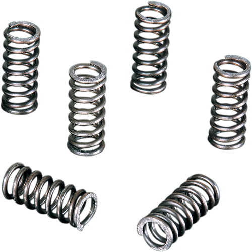 Clutch Spring Set 11310679