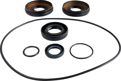 Differential Seal Kit 12050365