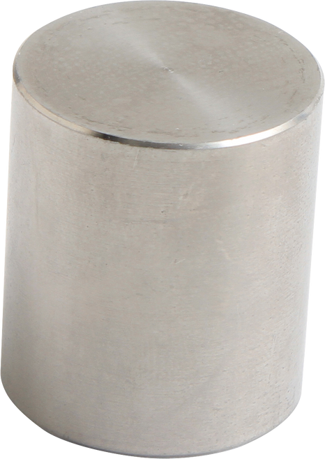 Brake Caliper Piston 17020672