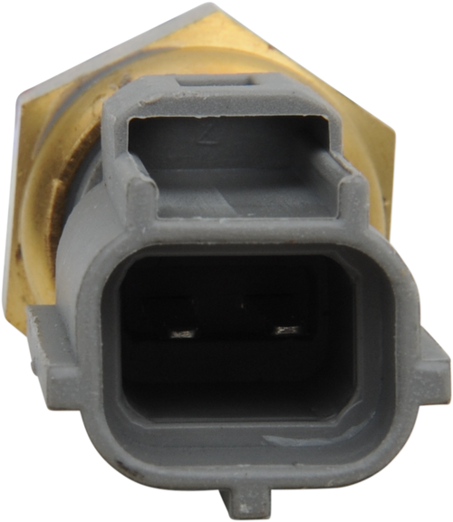 Electric Fuel Injection Water Temperature Sensor 19010777