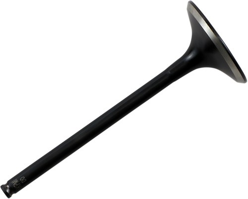 Black Diamond™ Engine Valve 20080224