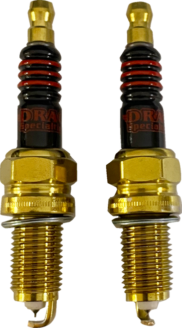 Iridium Spark Plugs 21030576