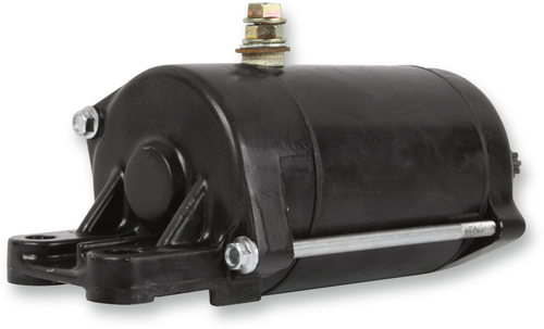 Starter Motor 21100845