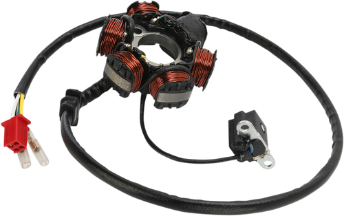 Stator 21121118