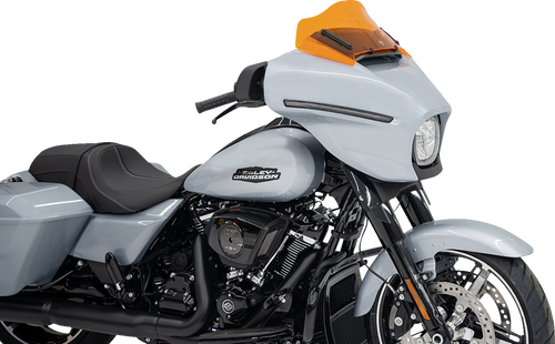 Kolor Flare™ Windshield 23100879