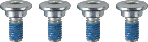 High Tensile Rotor Bolt Set 24011671