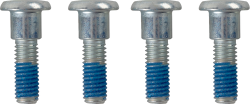High Tensile Rotor Bolt Set 24011679