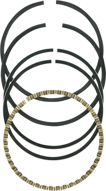 Replacement Ring Set 3208XG