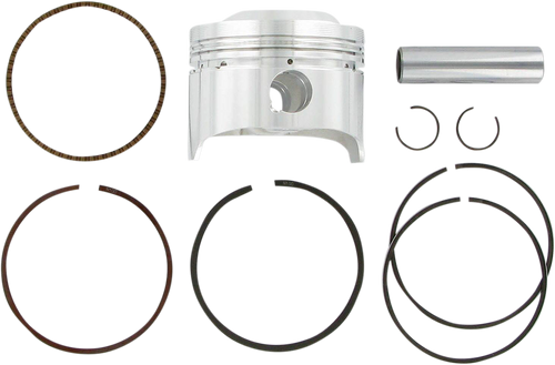 Piston Kit for 4 Stroke 4289M06550