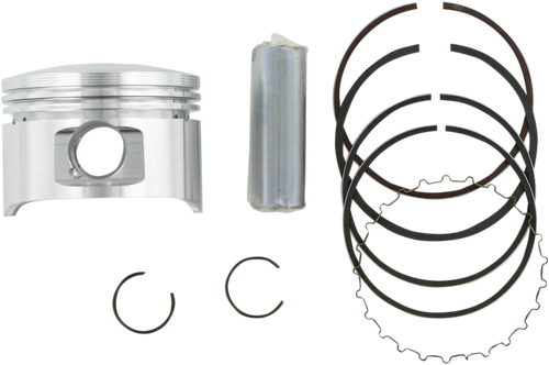 Piston Kit for 4 Stroke 4752M05450