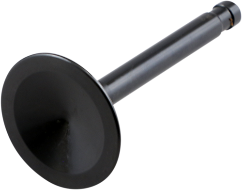 Nitrided Valve 09260782